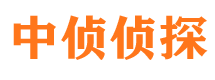 葫芦岛市私家侦探